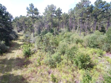 Recreational Property in Trinity County, Texas