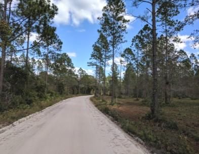 Undeveloped Land in Hamilton County, Florida