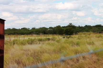 Timberland Property in Runnels County, Texas