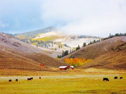 Land in Gunnison County, Colorado