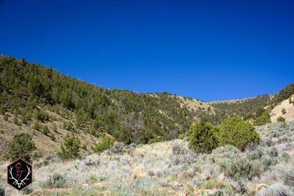 Undeveloped Land in Duchesne County, Utah