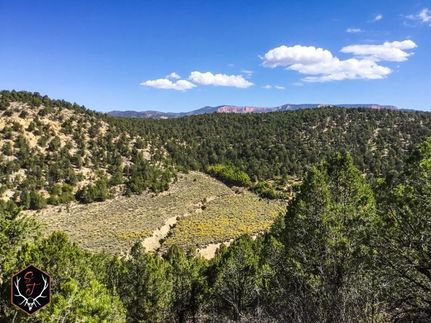 Undeveloped Land in Kane County, Utah