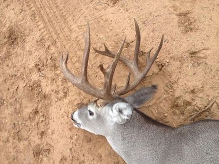 Land in Duval County, Texas