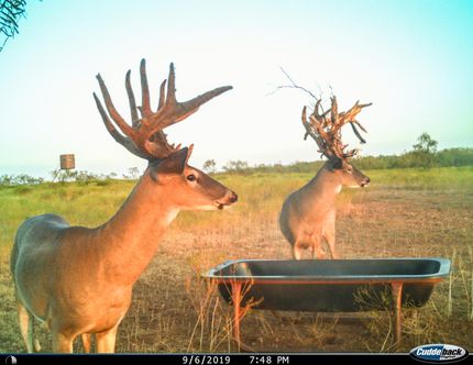 Land in Haskell County, Texas