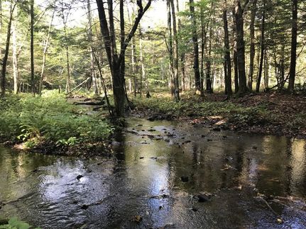 Commercial Property in Oswego County, New York