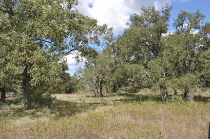 Farm and Ranch in Gonzales County, Texas