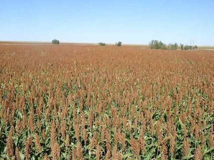 Land in Red Willow County, Nebraska