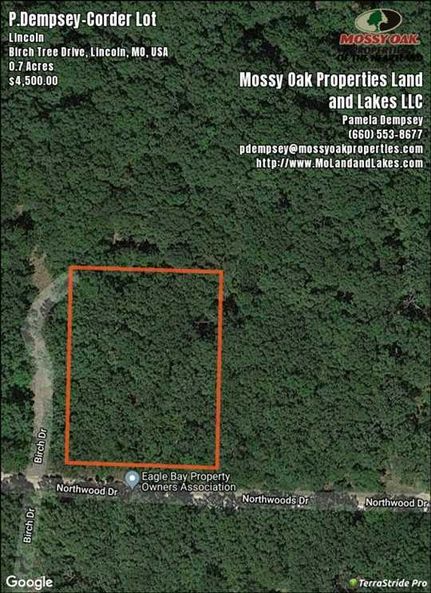 Waterfront Property in Benton County, Missouri