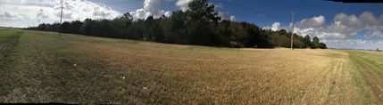 Timberland Property in Baldwin County, Alabama