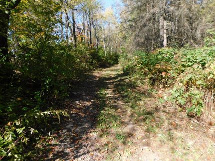 Farm and Ranch in Chenango County, New York