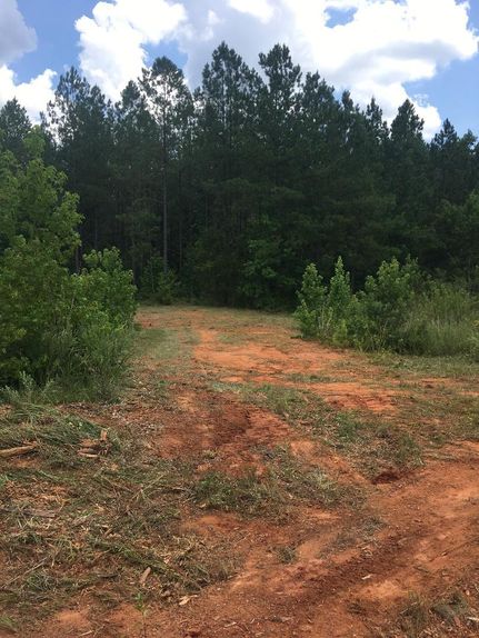 Farm and Ranch in Lee County, Alabama