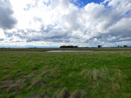 Timberland Property in Butte County, California