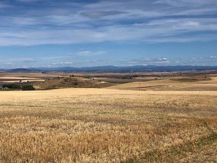 Timberland Property in Idaho County, Idaho