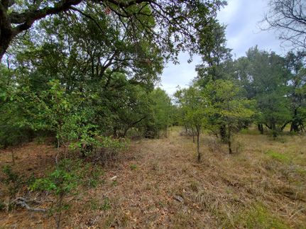 Recreational Property in Comanche County, Texas