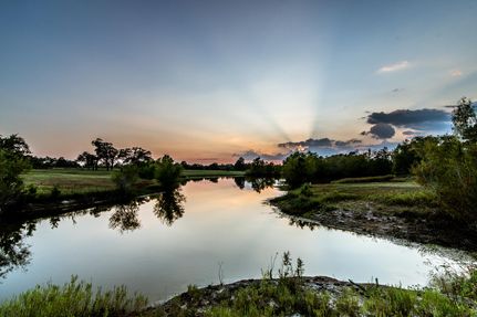 Undeveloped Land in Walker County, Texas