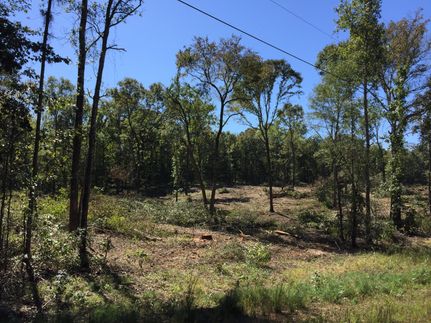 Timberland Property in Cass County, Texas