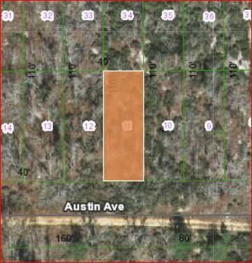 Farm and Ranch in Putnam County, Florida