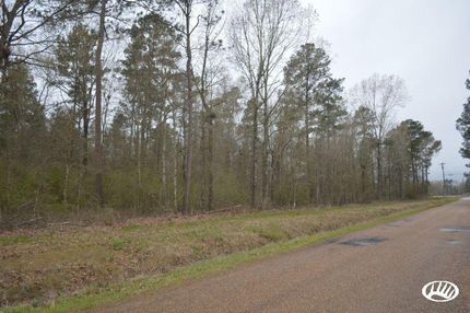Timberland Property in Rapides Parish, Louisiana