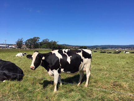 Land in Humboldt County, California
