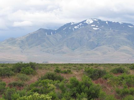 Horse Property in Washoe County, Nevada