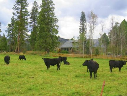 Recreational Property in Shasta County, California