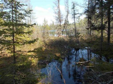 Farm and Ranch in Baraga County, Michigan