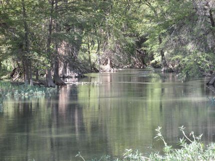 Horse Property in Medina County, Texas