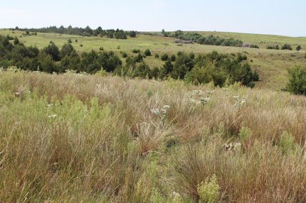 Timberland Property in Franklin County, Nebraska