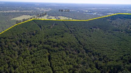 Timberland Property in Walker County, Texas