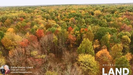 Timberland Property in Mercer County, Pennsylvania