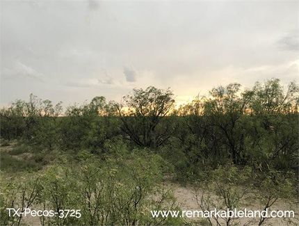 Farm and Ranch in Pecos County, Texas
