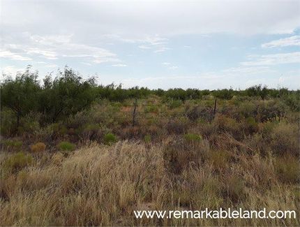 Undeveloped Land in Ward County, Texas