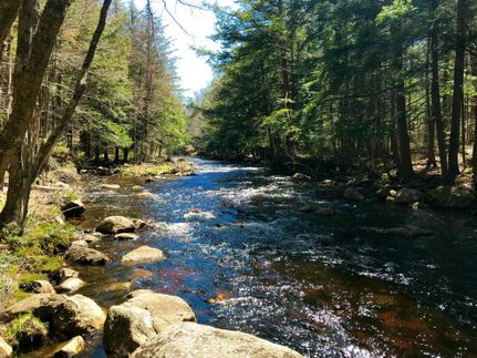 Undeveloped Land in Oneida County, New York