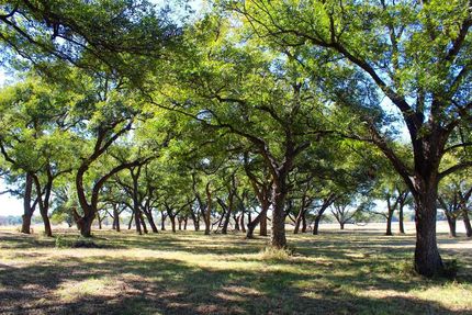 Farm and Ranch in Comanche County, Texas