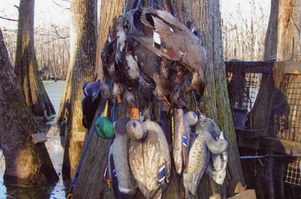 Timberland Property in Leflore County, Mississippi