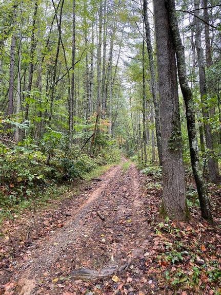 Recreational Property in Cocke County, Tennessee