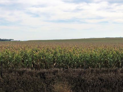House in Clay County, Iowa