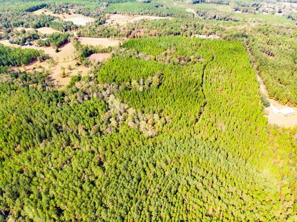 Farm and Ranch in Holmes County, Florida