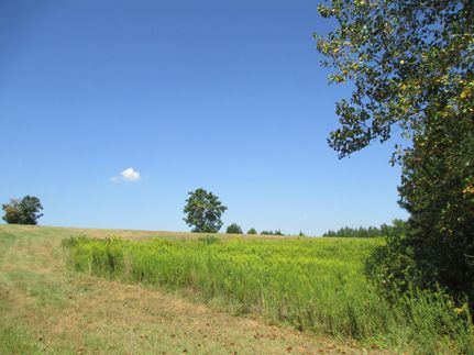 Commercial Property in Tallapoosa County, Alabama