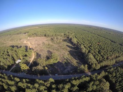 Land in Drew County, Arkansas