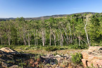 Recreational Property in Carbon County, Wyoming
