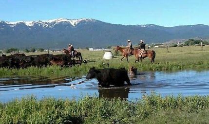 Timberland Property in Lassen County, California