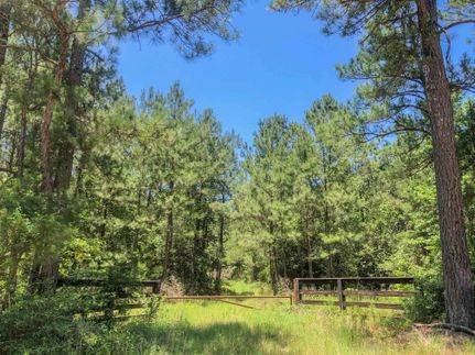 Farm and Ranch in Trinity County, Texas
