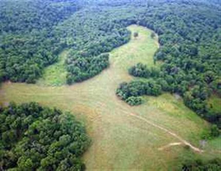 Land in Morgan County, Missouri