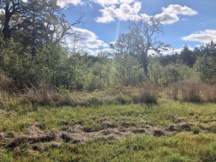Undeveloped Land in Grimes County, Texas