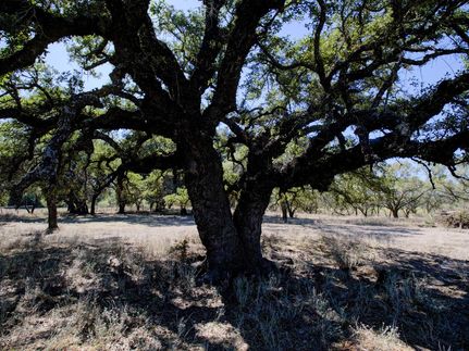 Recreational Property in Mills County, Texas