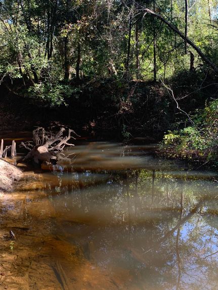 Recreational Property in Grady County, Georgia