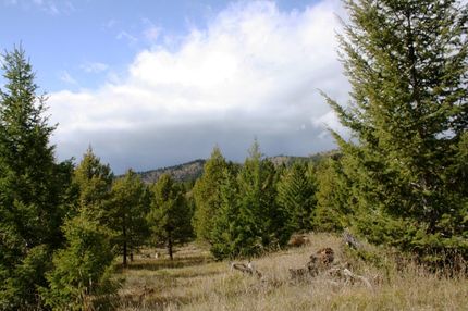 Recreational Property in Granite County, Montana