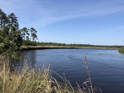Land in Jasper County, South Carolina