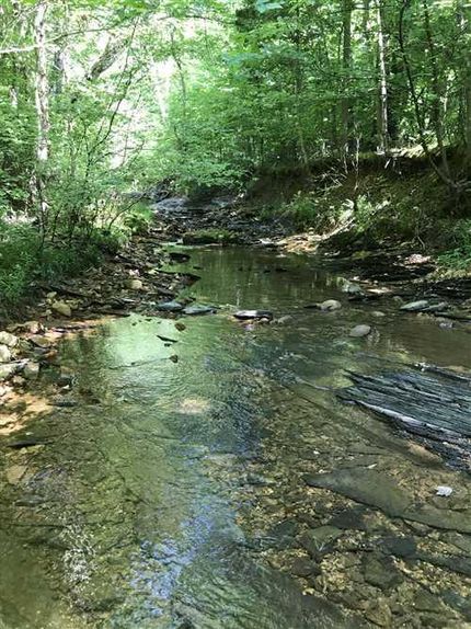 Farm and Ranch in Benton County, Tennessee